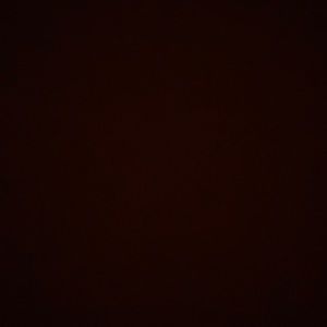 Meet your Posher, Riley